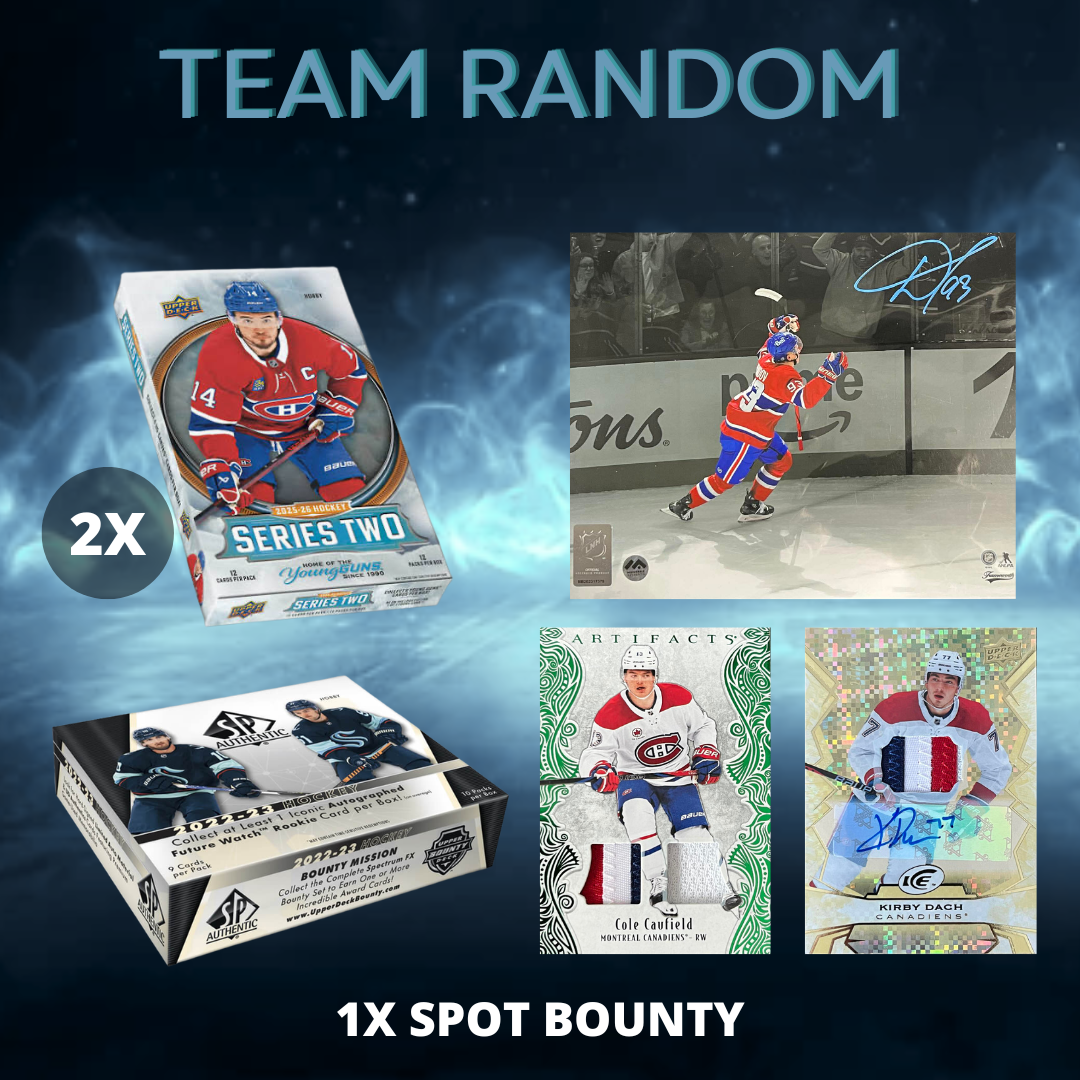 - TEAM RANDOM - #518