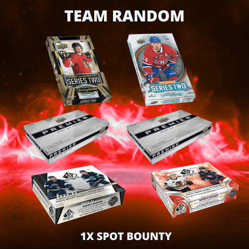 - TEAM RANDOM - #520