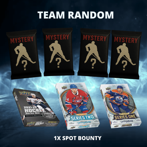 - TEAM RANDOM - #522