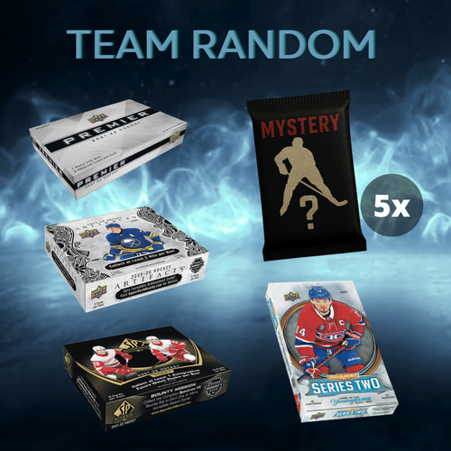 - TEAM RANDOM - #537