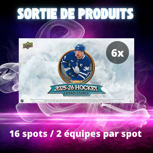 - TEAM RANDOM - #538 - 16 SPOTS (SORTIE DE PRODUITS 03/06/2026)