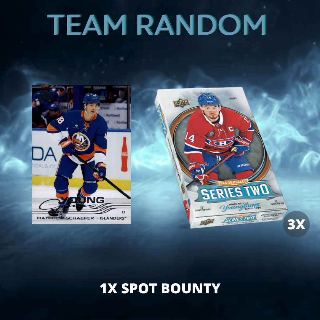 - TEAM RANDOM - #517